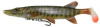 leurre-souple-savage-gear-4d-pike-shad-monte-20cm-striped-pike.jpg