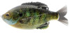 leurre-souple-monte-savage-gear-dc-slide-gill-bluegill.jpg