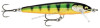 poisson-nageur-rapala-floater-elite-85cm-fe85-gdp.jpg