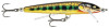 poisson-nageur-rapala-floater-elite-85cm-fe85-gdvr.jpg