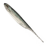 leurre-souple-fish-arrow-flash-j-4-10cm-2.jpg